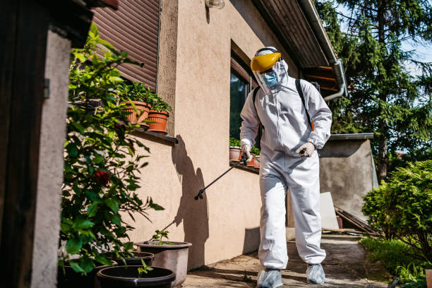Best Exterminator Services  in Mford, IL