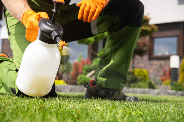 Best Pest Control Near Me  in Mford, IL