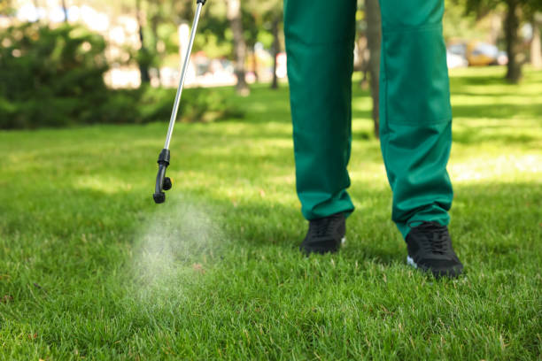 Best Pest Removal Services  in Mford, IL