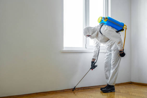 Pest Control for Restaurants in Milford, IL