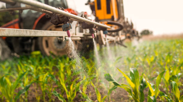 Best Pest Control for Businesses  in Mford, IL
