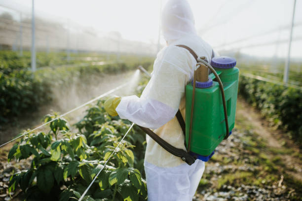 Pest Prevention Services in Milford, IL